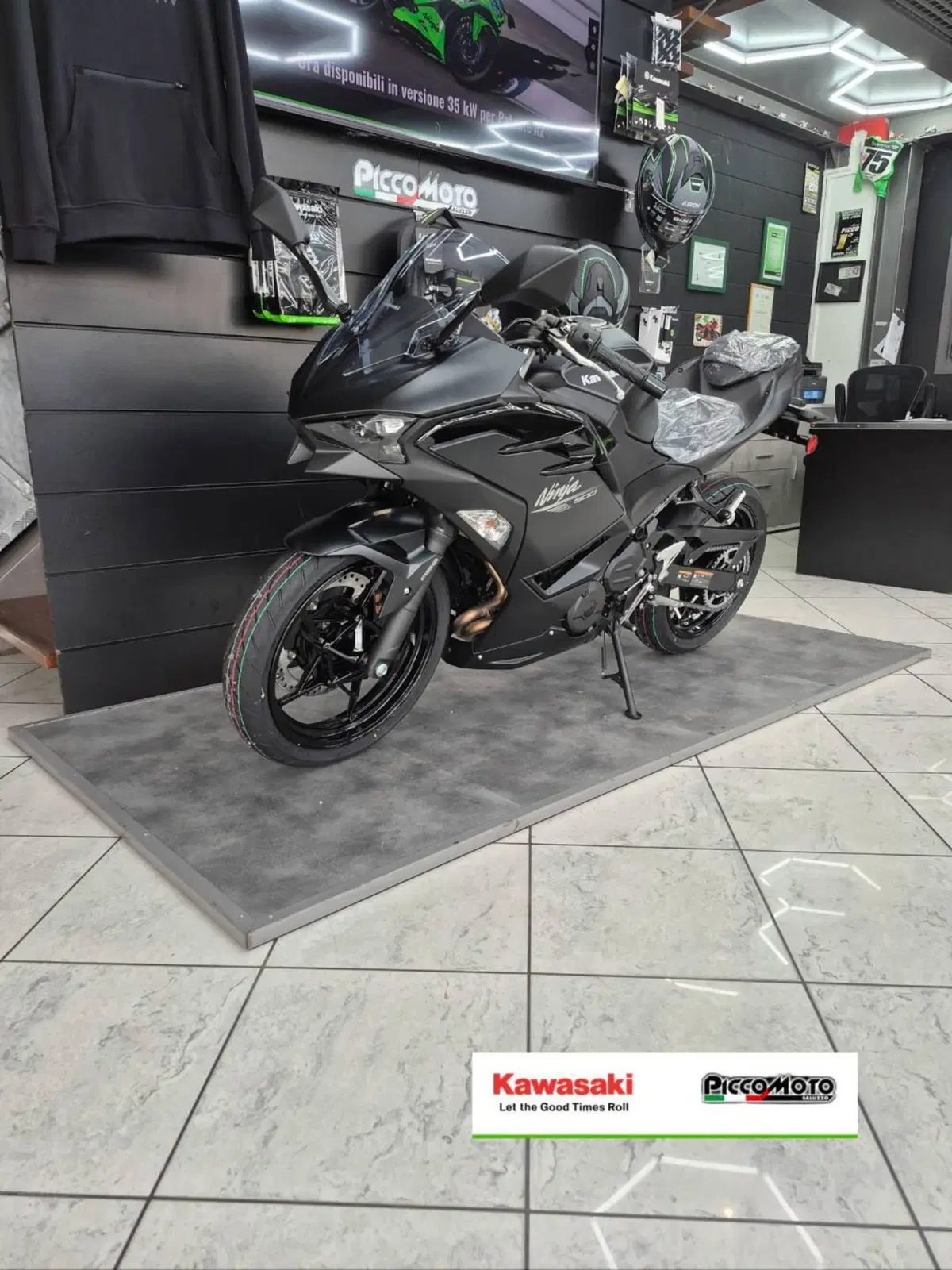 Kawasaki Ninja 500 (2024 - 27) (3)