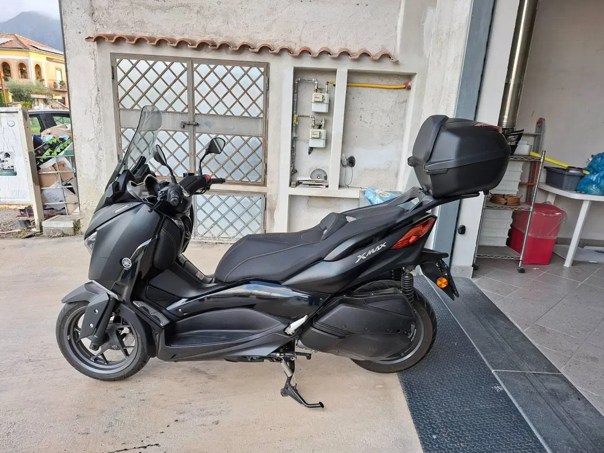Yamaha X-Max 300 Iron Max (2019 - 20) (3)