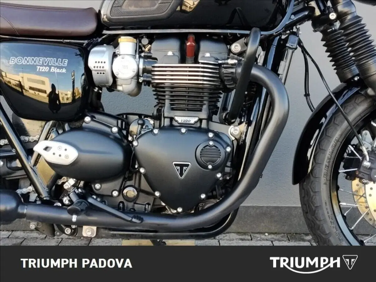 Triumph Bonneville T120 Black (2026) (3)