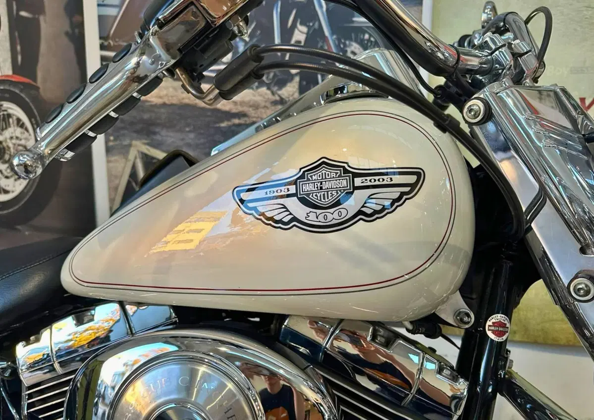 Harley-Davidson 1450 Heritage Classic (2003 - 05) - FLSTCI (5)