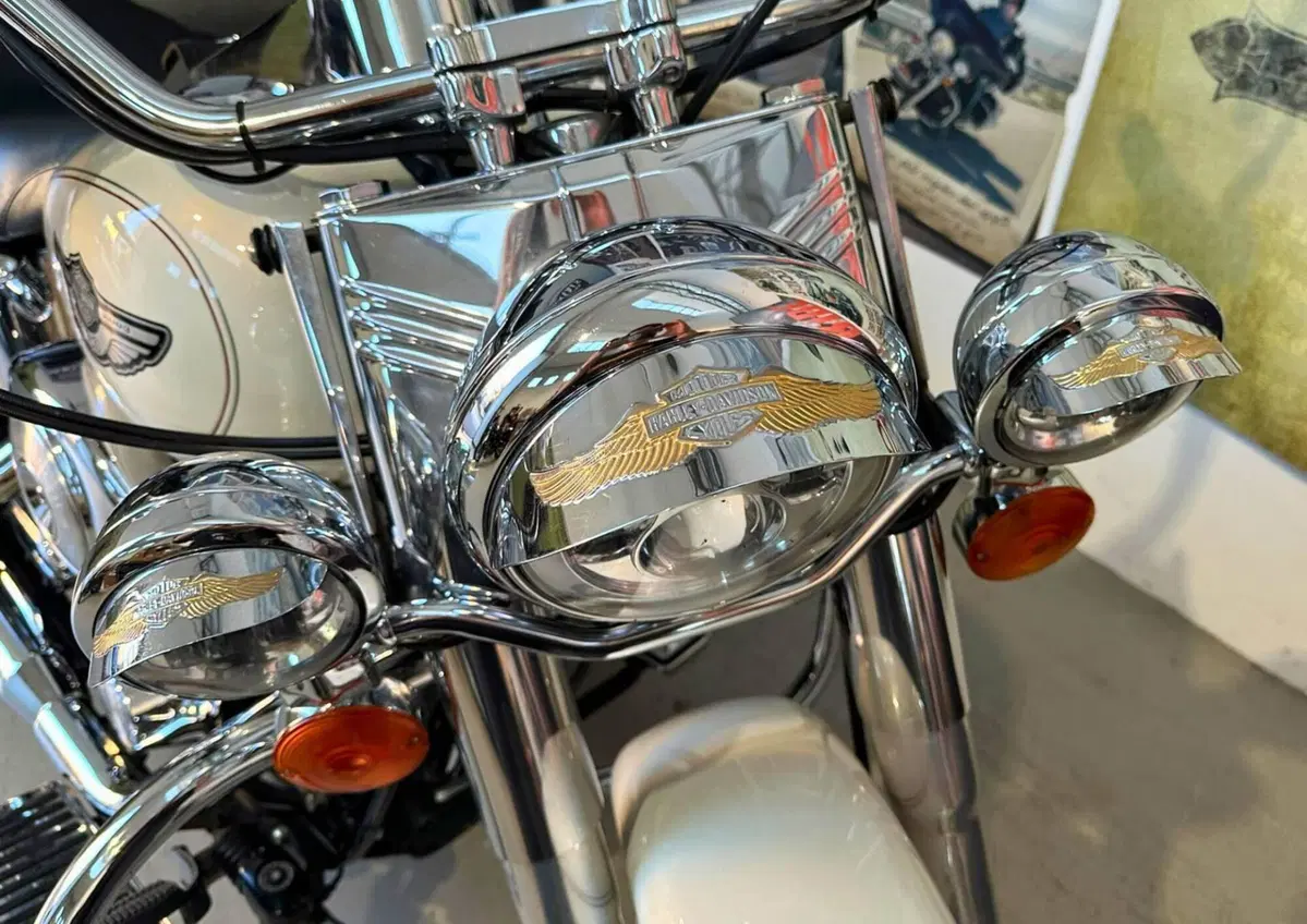Harley-Davidson 1450 Heritage Classic (2003 - 05) - FLSTCI (6)