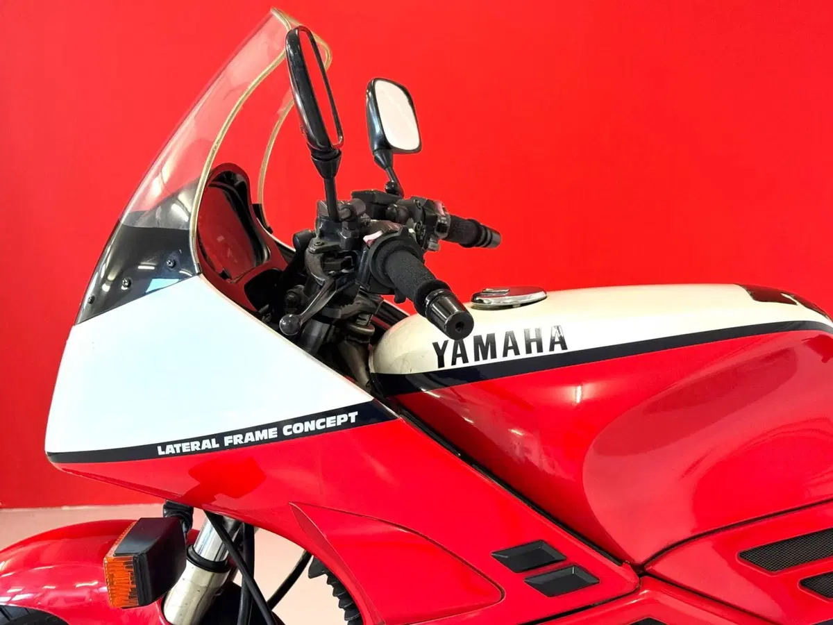 Yamaha FJ 1100 (14)
