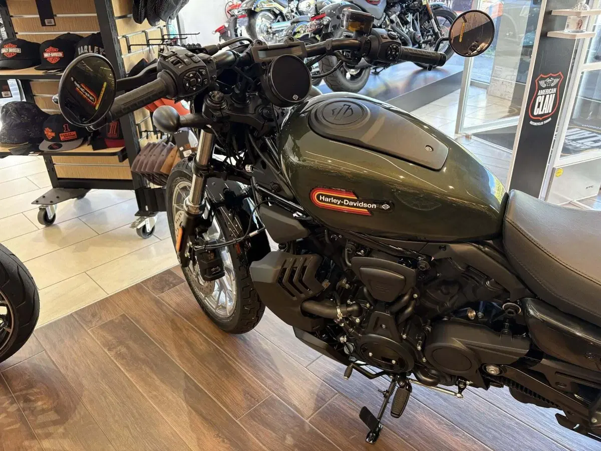 Harley-Davidson Nightster Special (2023 - 26) (3)