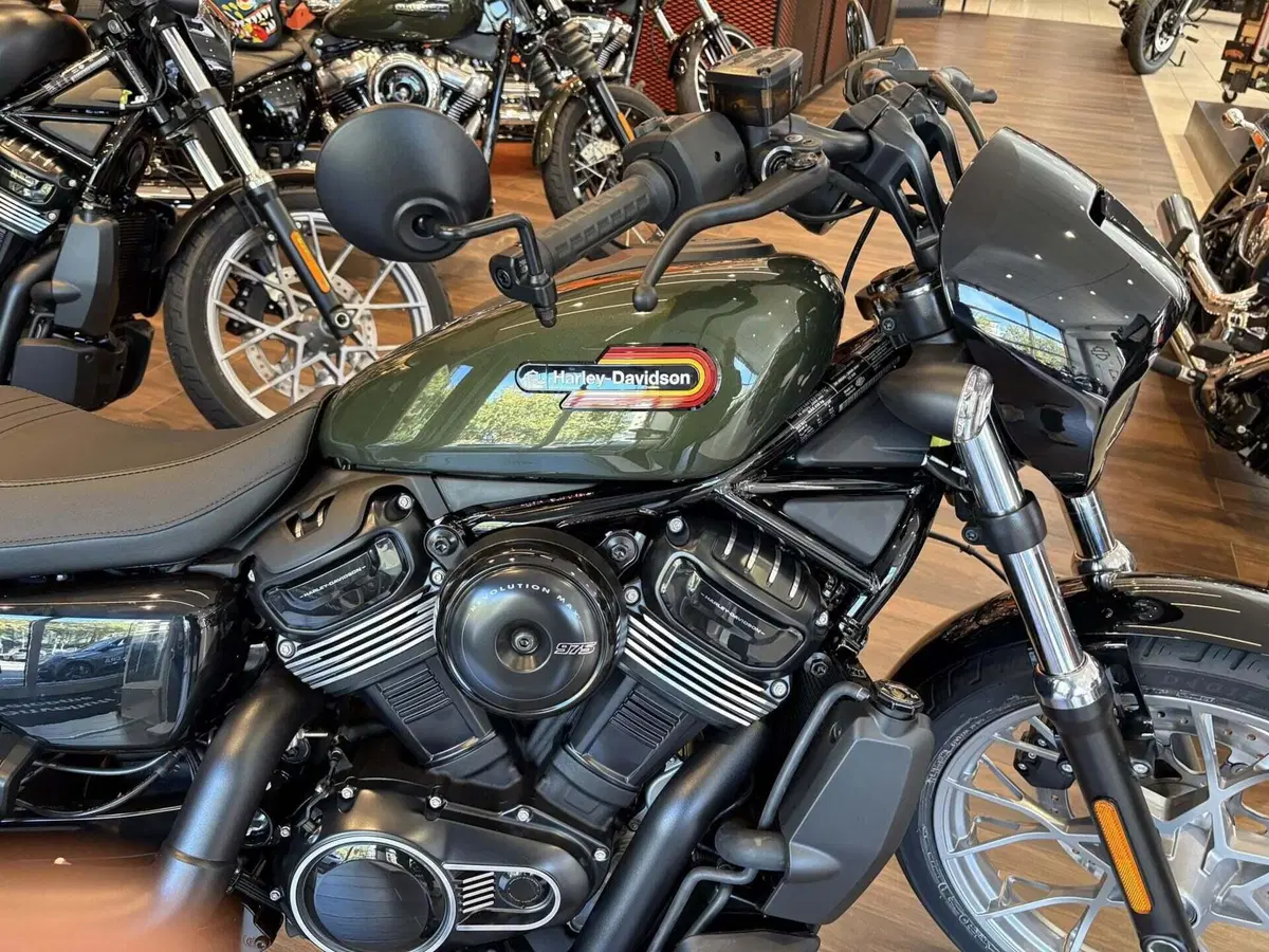 Harley-Davidson Nightster Special (2023 - 26) (4)