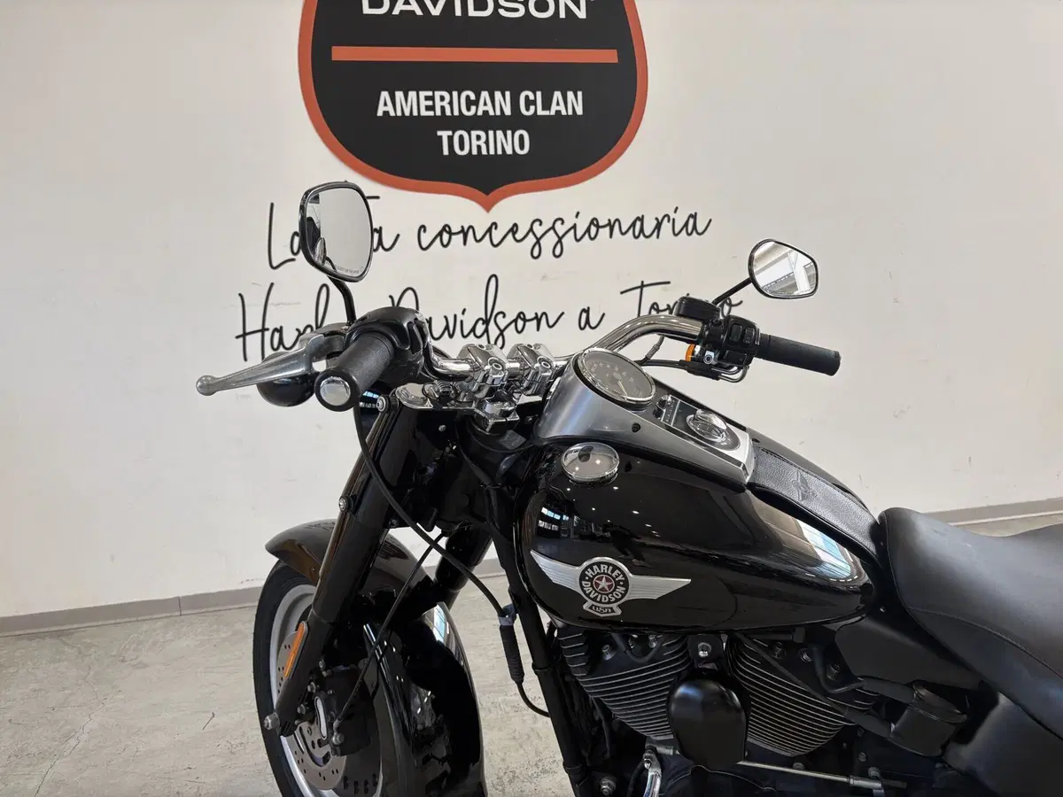Harley-Davidson 1584 Fat Boy (2008 - 10) - FLSTF (2)