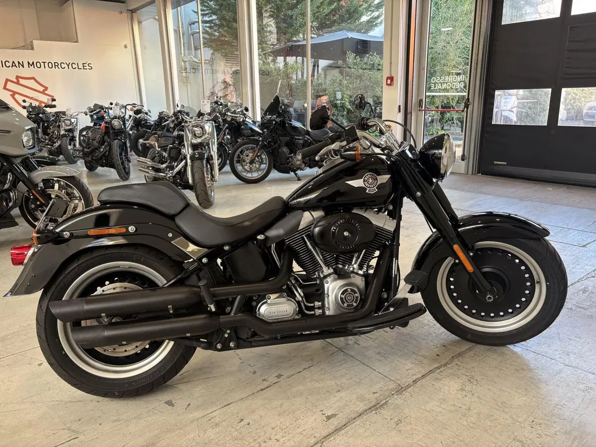 Harley-Davidson 1584 Fat Boy (2008 - 10) - FLSTF (4)