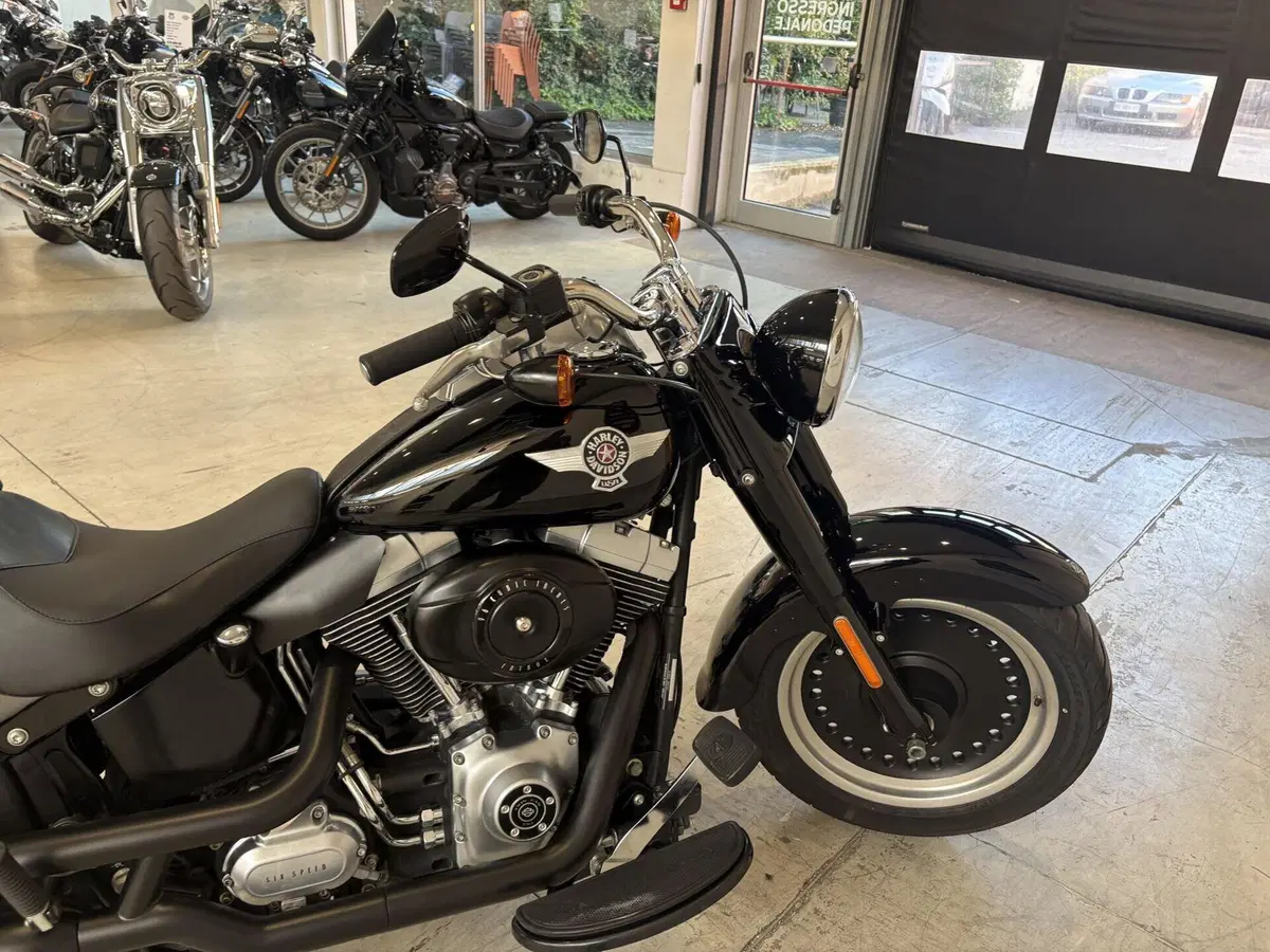 Harley-Davidson 1584 Fat Boy (2008 - 10) - FLSTF (5)