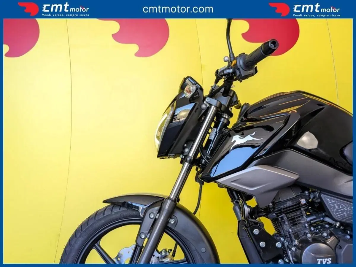 TVS Motor Raider 125 (2024 - 26) (7)