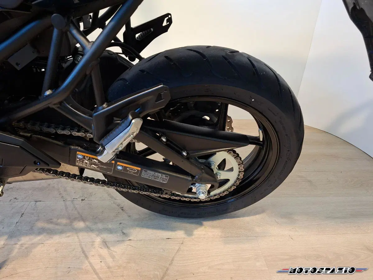 Kawasaki Versys 650 (2025 - 27) (6)