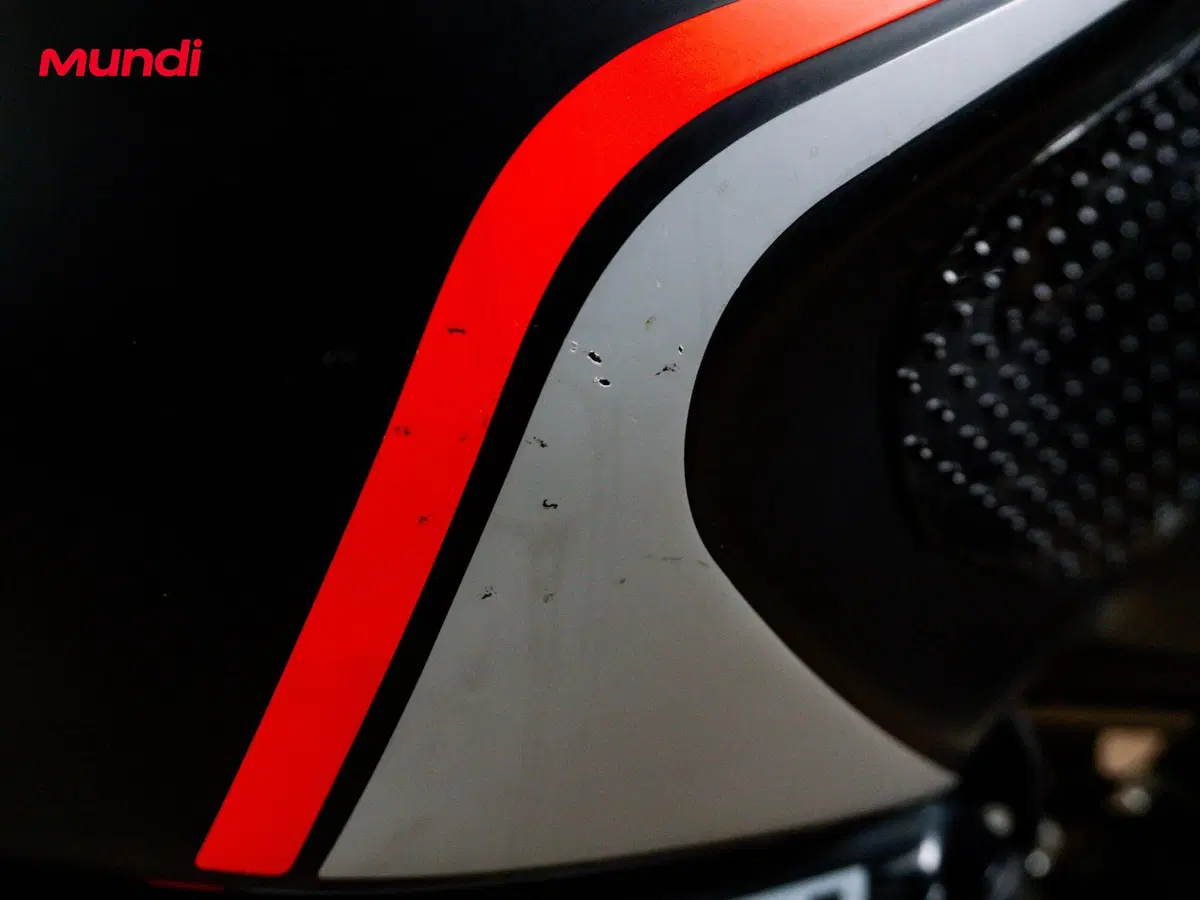 Ducati Monster 821 (2018 - 20) (13)