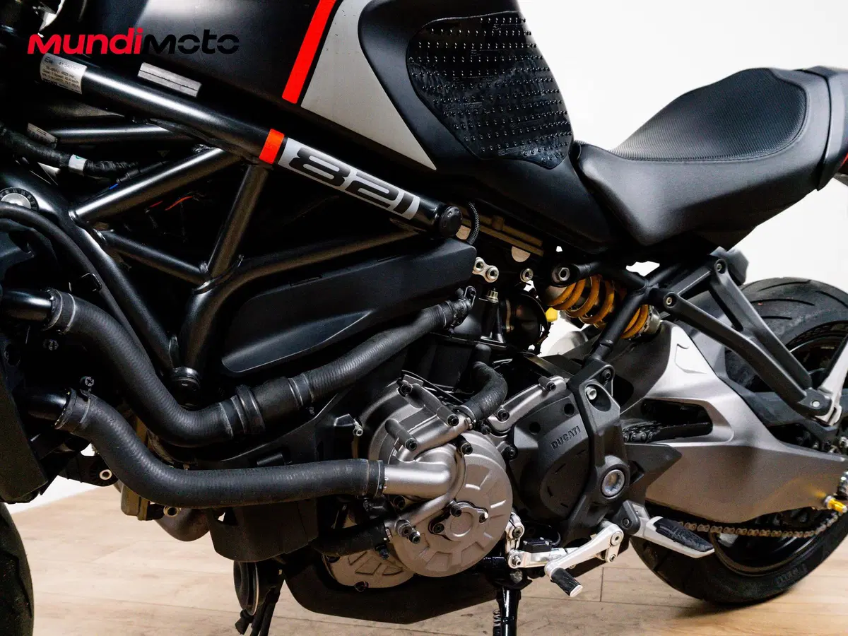 Ducati Monster 821 (2018 - 20) (9)