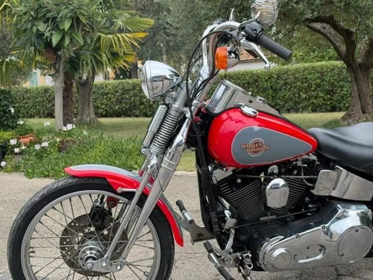 Harley-Davidson 1340 Springer (1990 - 98) - FXSTS (2)