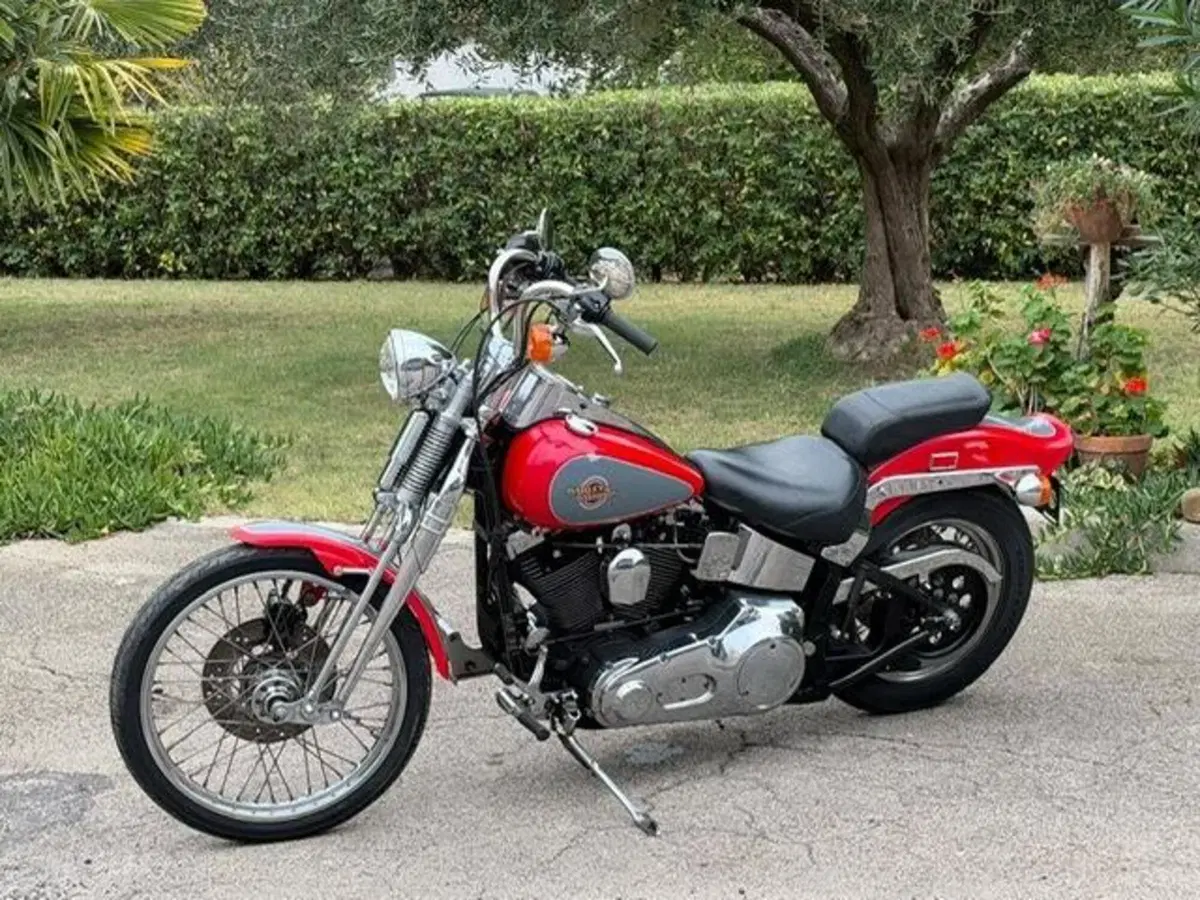 Harley-Davidson 1340 Springer (1990 - 98) - FXSTS (5)
