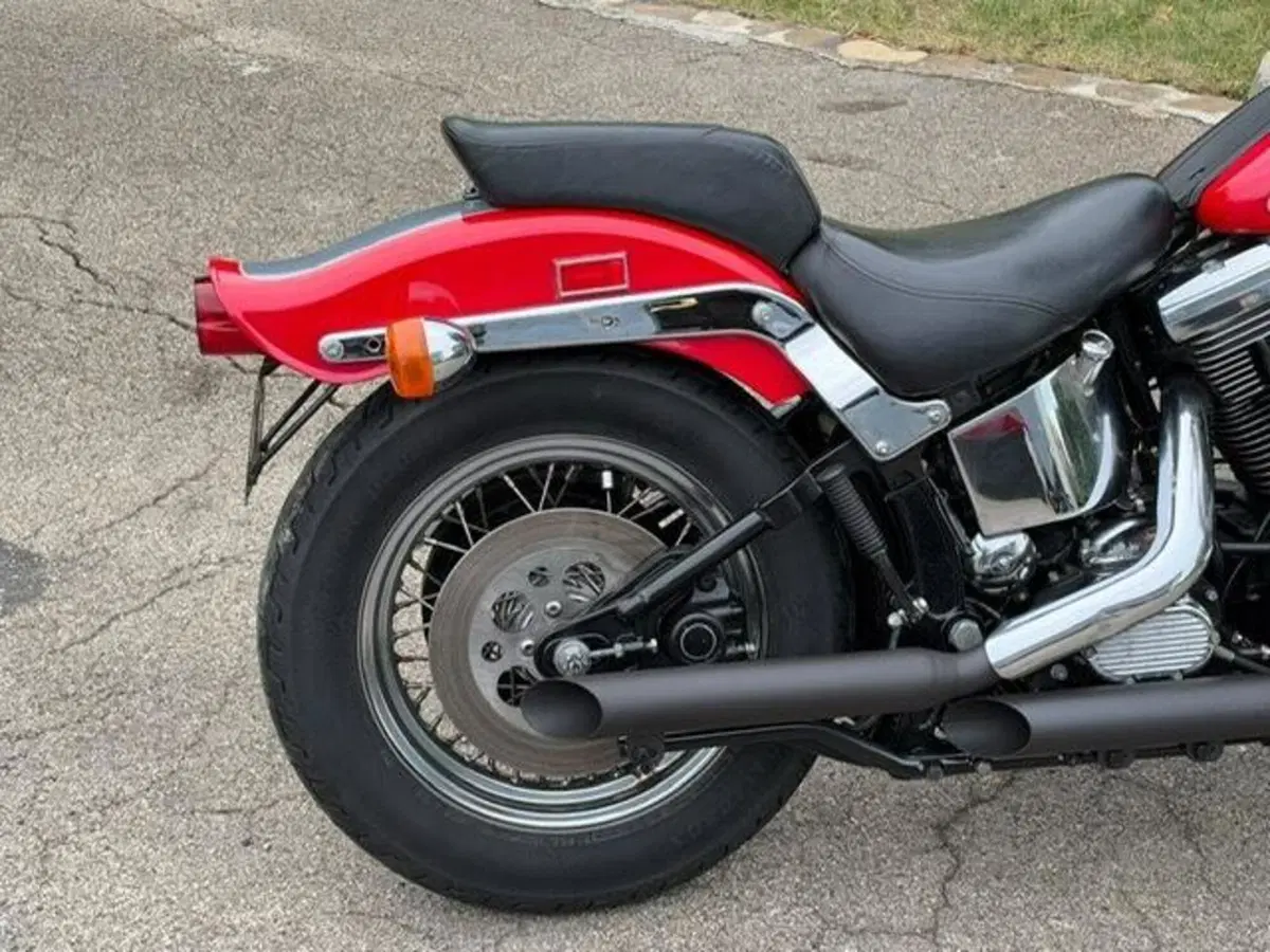 Harley-Davidson 1340 Springer (1990 - 98) - FXSTS (7)