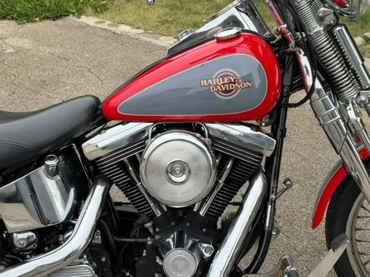 Harley-Davidson 1340 Springer (1990 - 98) - FXSTS (8)