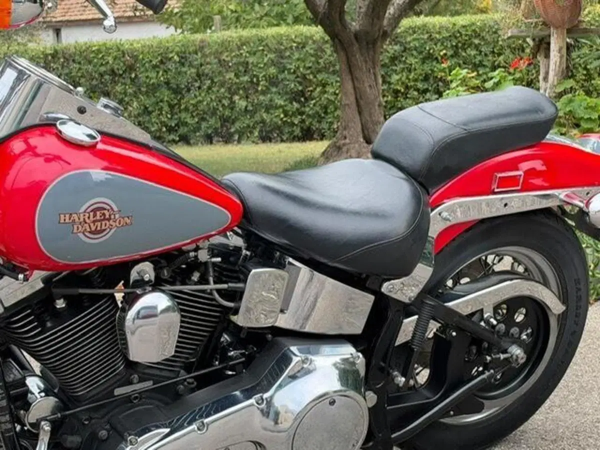 Harley-Davidson 1340 Springer (1990 - 98) - FXSTS (9)