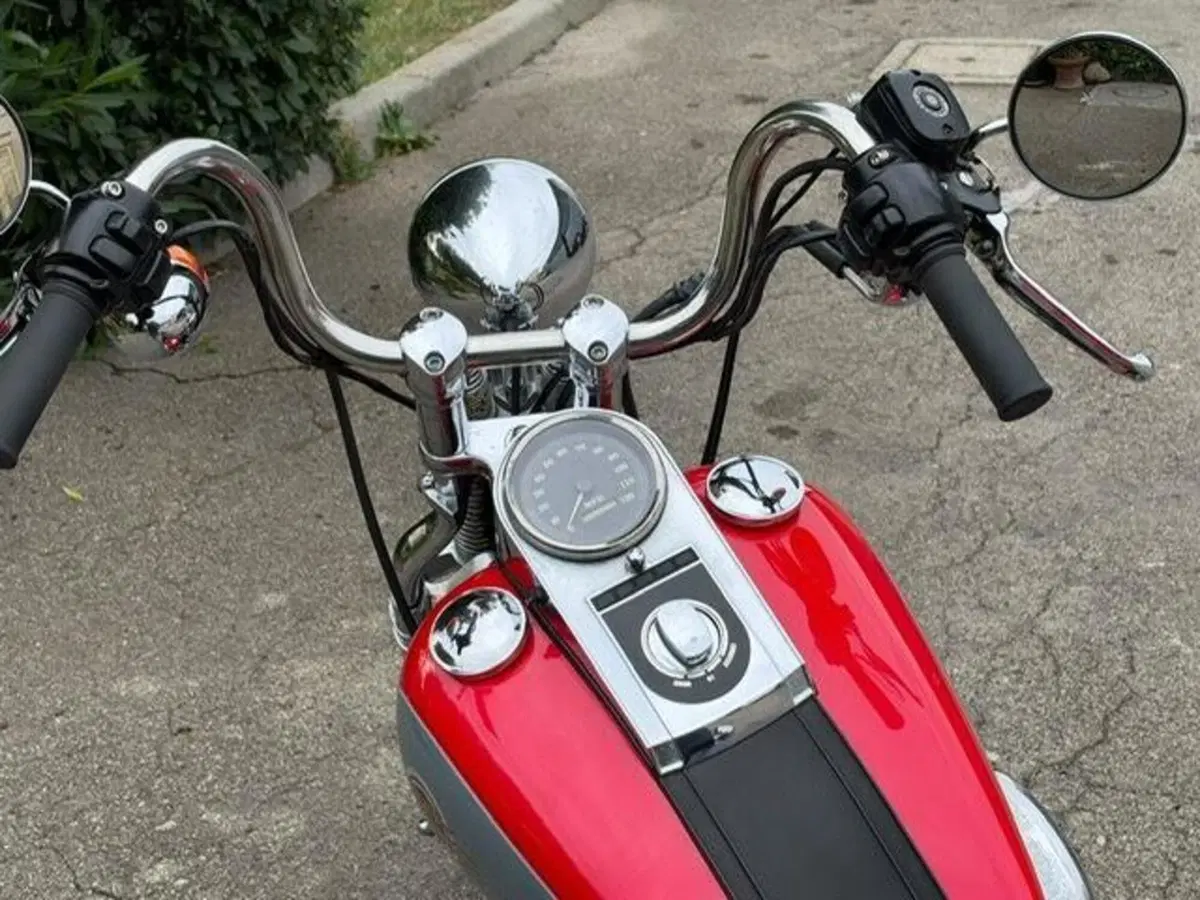 Harley-Davidson 1340 Springer (1990 - 98) - FXSTS (10)