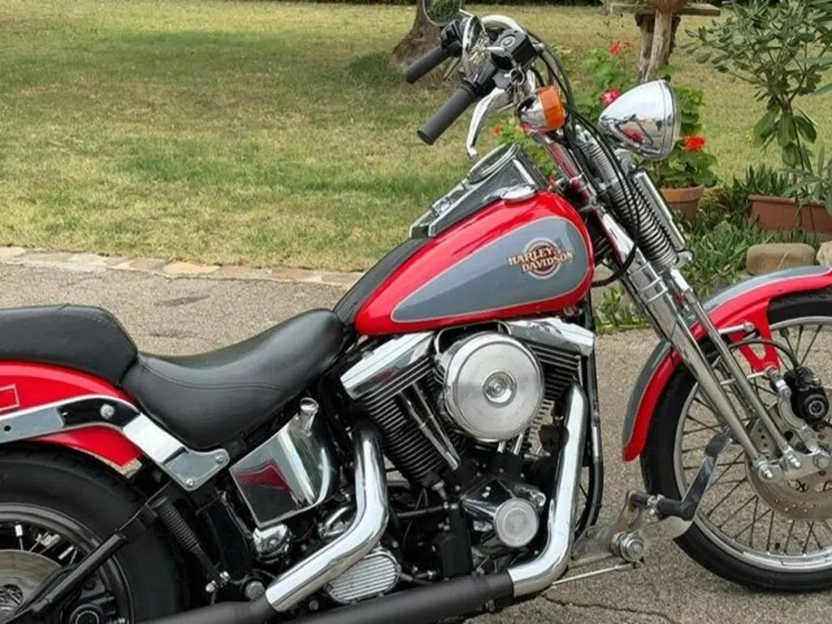 Harley-Davidson 1340 Springer (1990 - 98) - FXSTS (11)