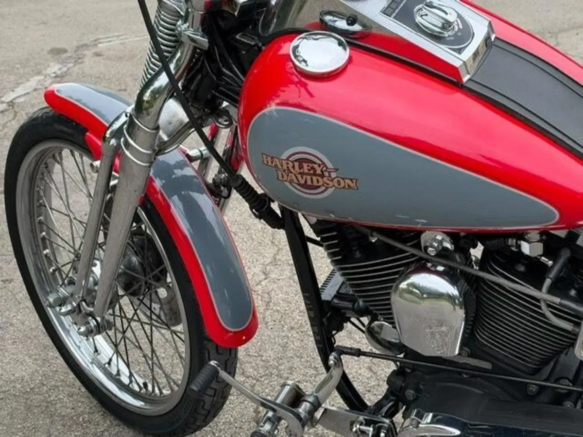Harley-Davidson 1340 Springer (1990 - 98) - FXSTS (12)