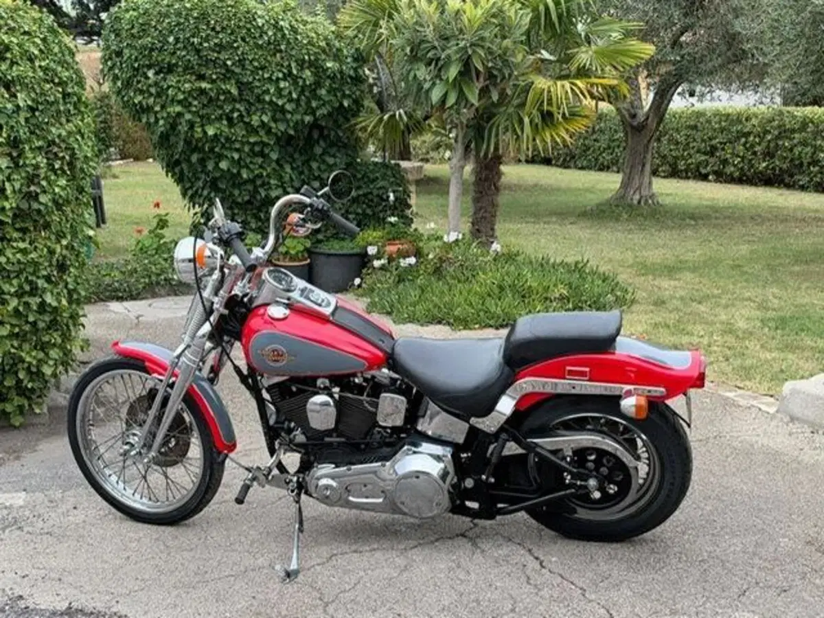 Harley-Davidson 1340 Springer (1990 - 98) - FXSTS (13)