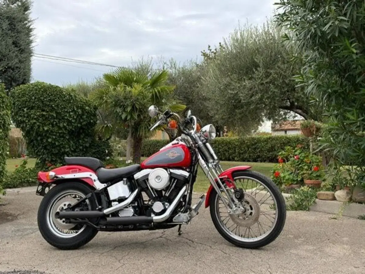 Harley-Davidson 1340 Springer (1990 - 98) - FXSTS (15)