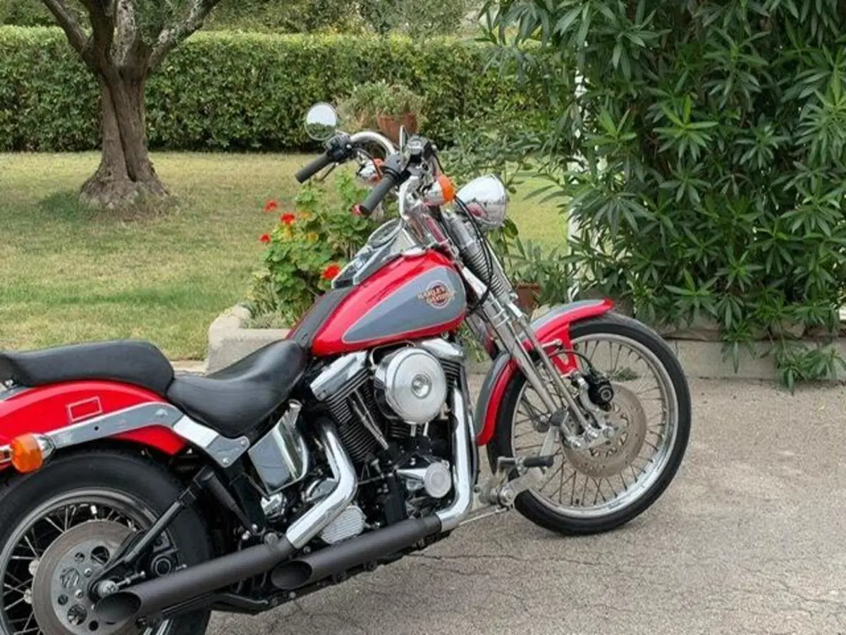 Harley-Davidson 1340 Springer (1990 - 98) - FXSTS (16)