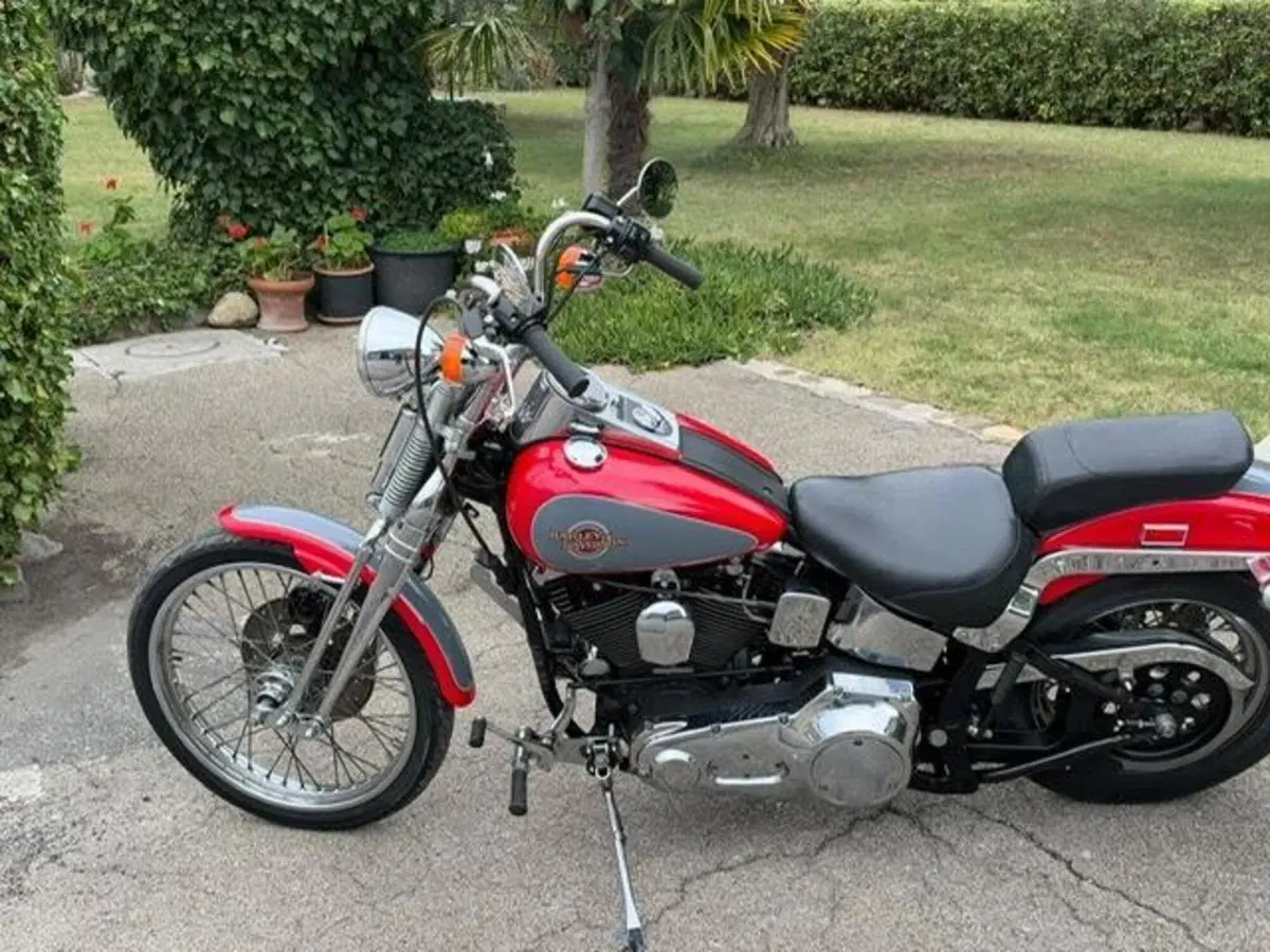 Harley-Davidson 1340 Springer (1990 - 98) - FXSTS (17)