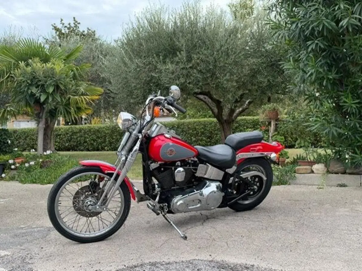 Harley-Davidson 1340 Springer (1990 - 98) - FXSTS (18)