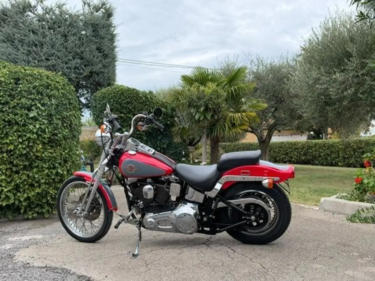 Harley-Davidson 1340 Springer (1990 - 98) - FXSTS (19)