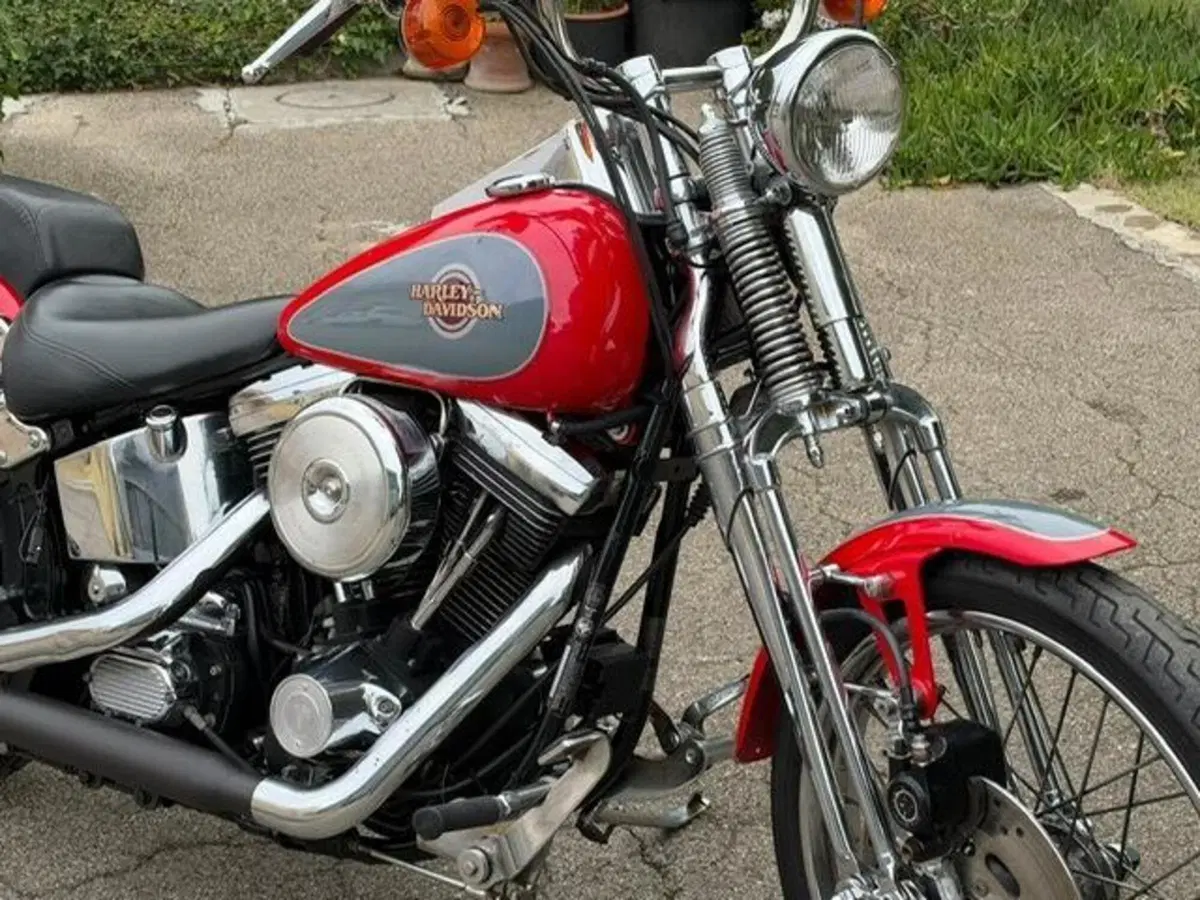 Harley-Davidson 1340 Springer (1990 - 98) - FXSTS (20)
