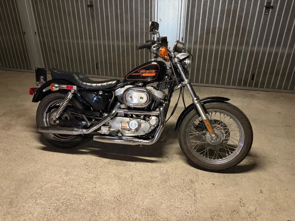 Harley-Davidson Sportster 1200 (2)