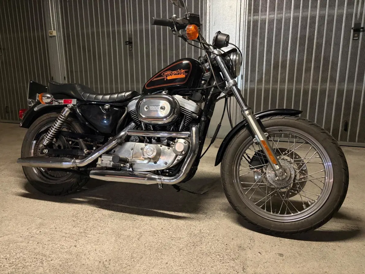 Harley-Davidson Sportster 1200 (3)