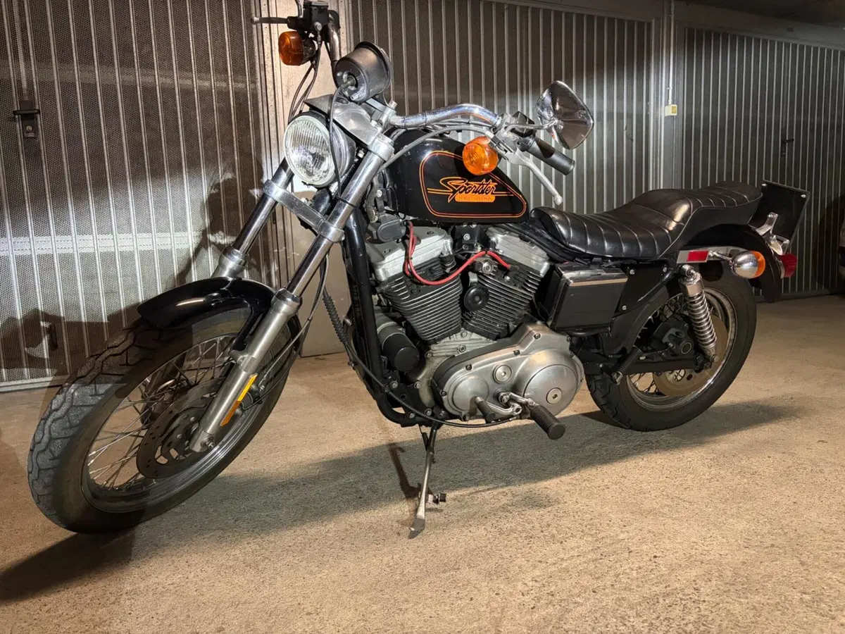 Harley-Davidson Sportster 1200 (4)