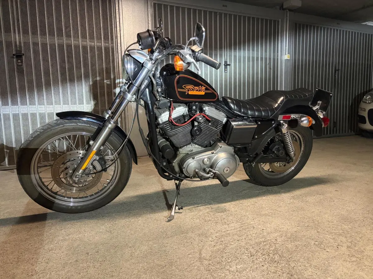 Harley-Davidson Sportster 1200 (5)