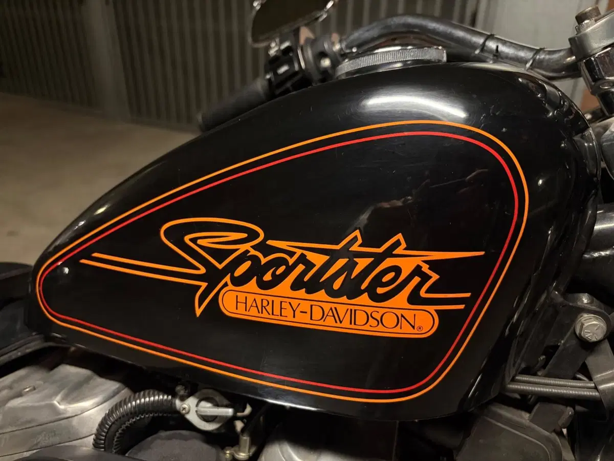 Harley-Davidson Sportster 1200 (8)