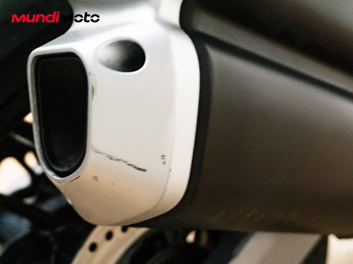 Ducati Monster 821 (2018 - 20) (16)