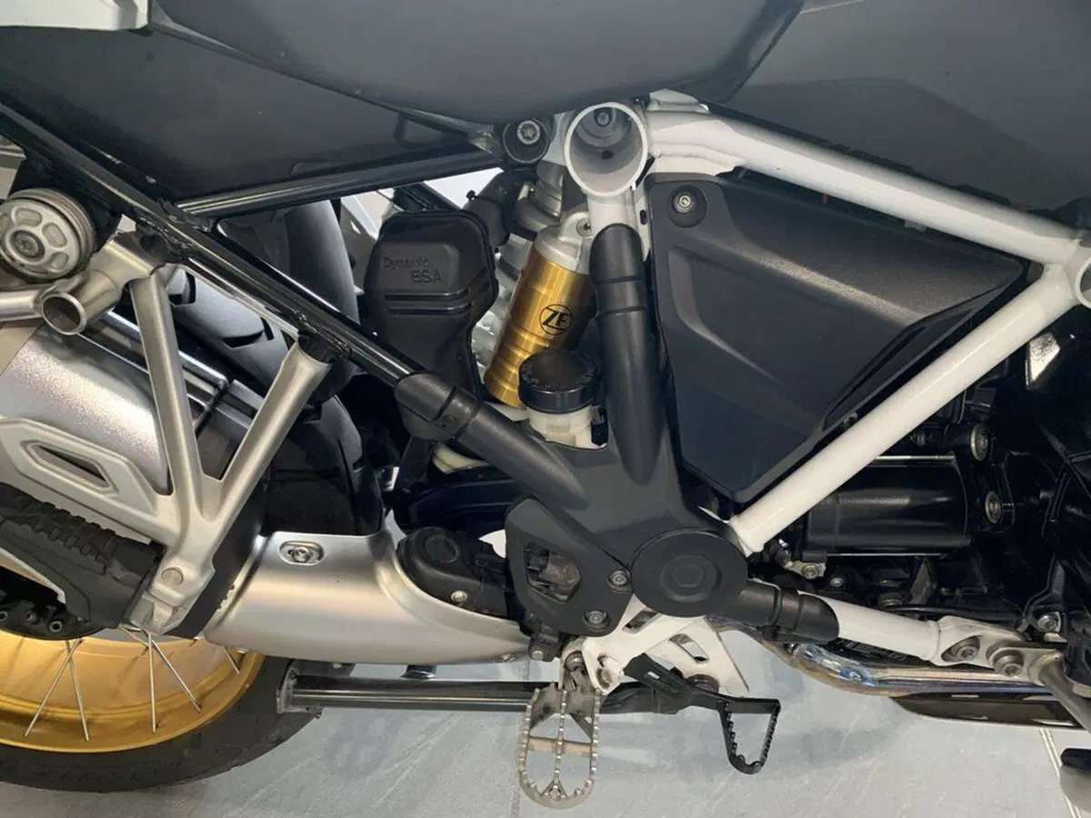Bmw R 1250 GS (2019 - 20) (11)