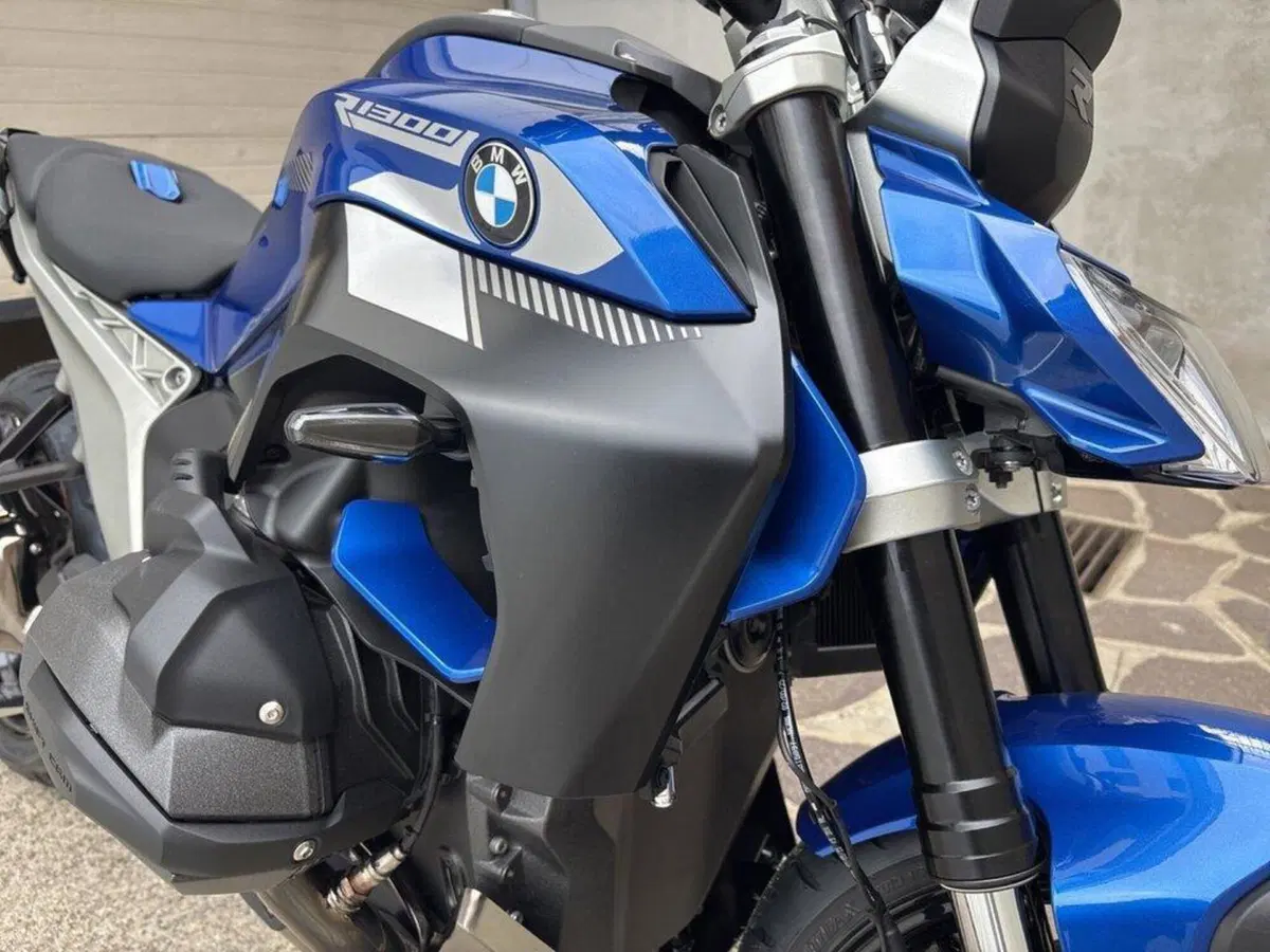 Bmw R 1300 R (2026 - 27) (15)