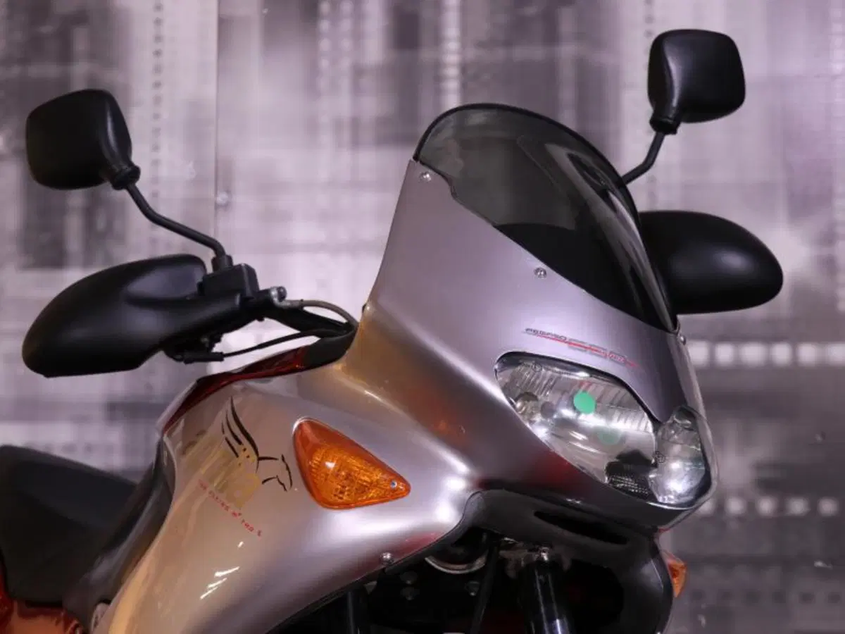 Aprilia Pegaso 650 IE (2001 - 02) (3)