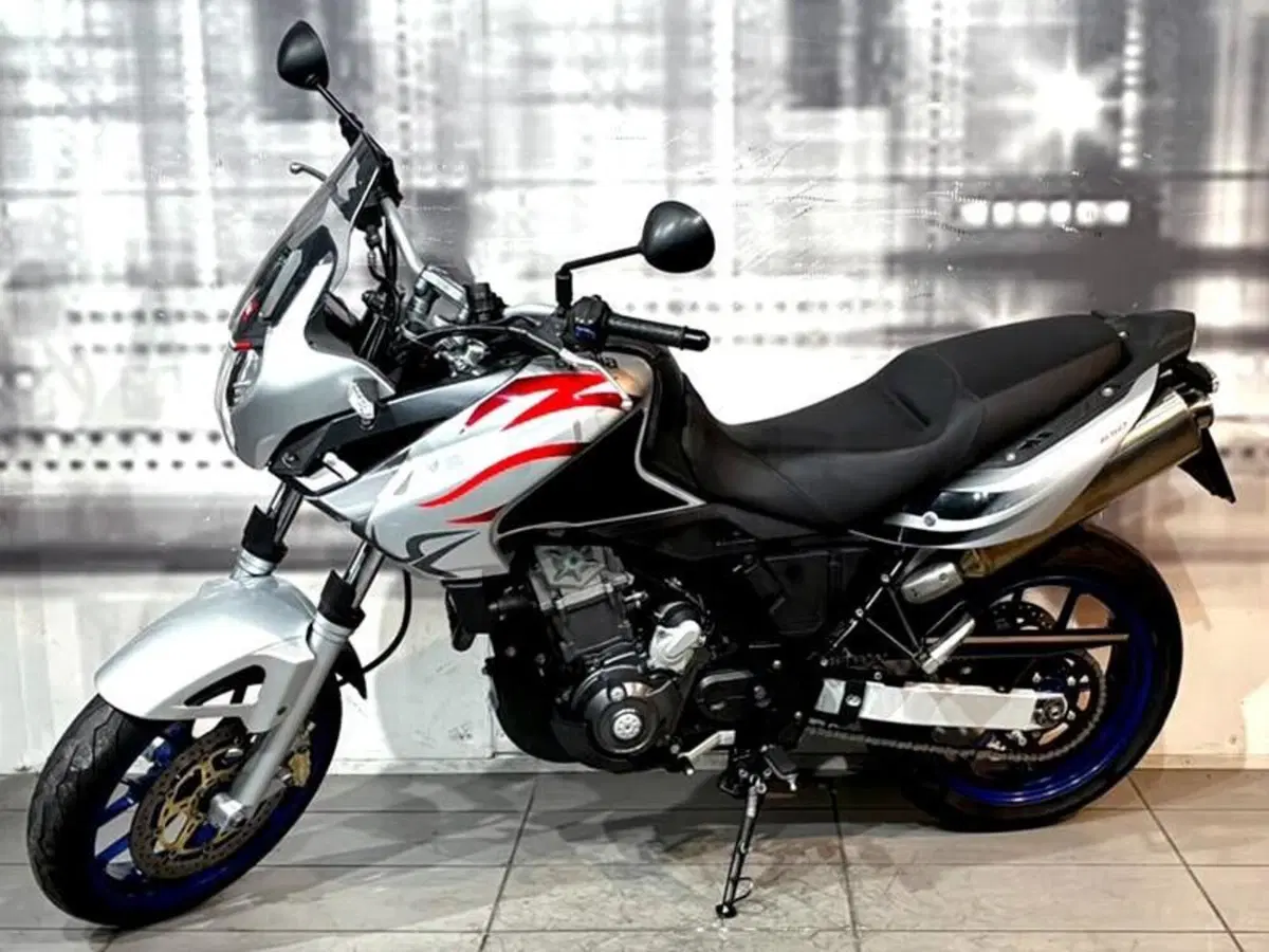 Aprilia Pegaso 650 Strada (2005 - 11) (2)