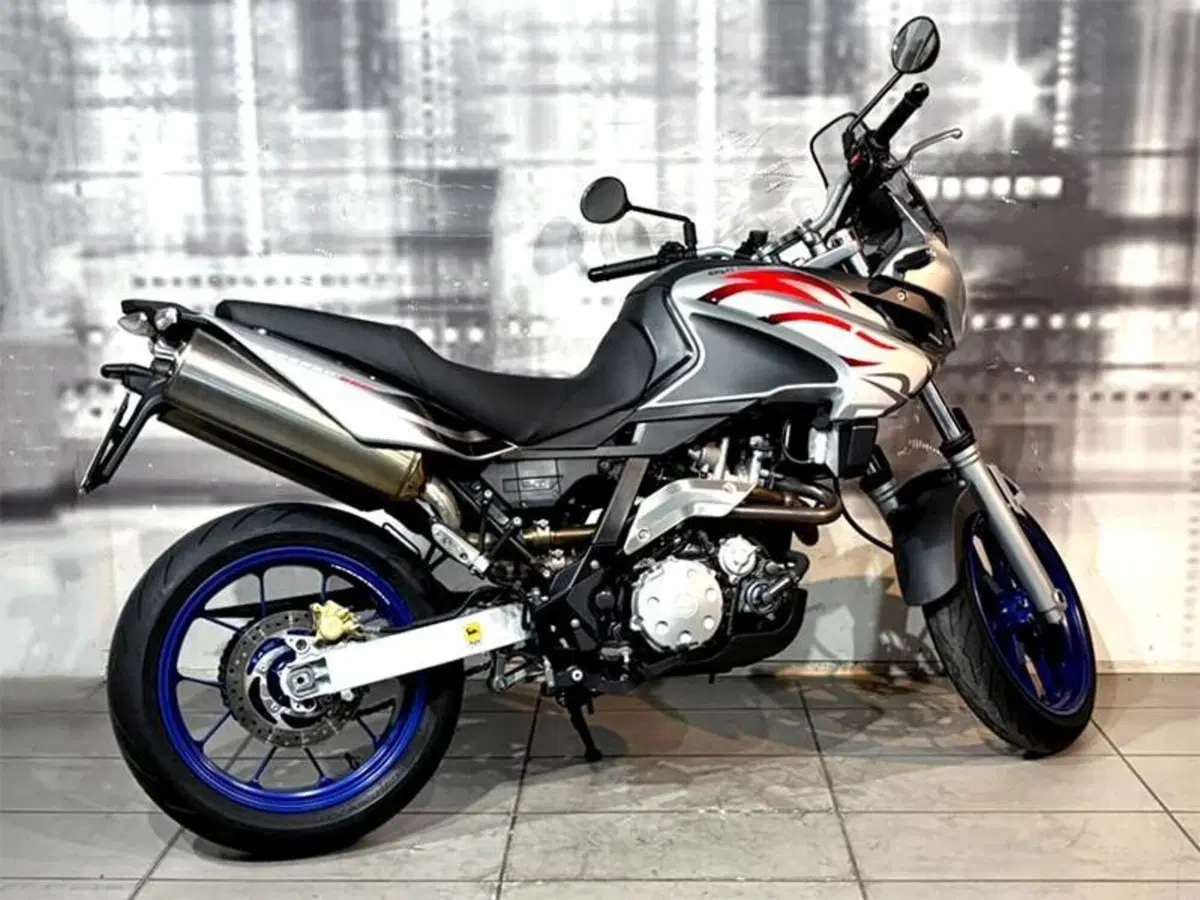 Aprilia Pegaso 650 Strada (2005 - 11) (3)