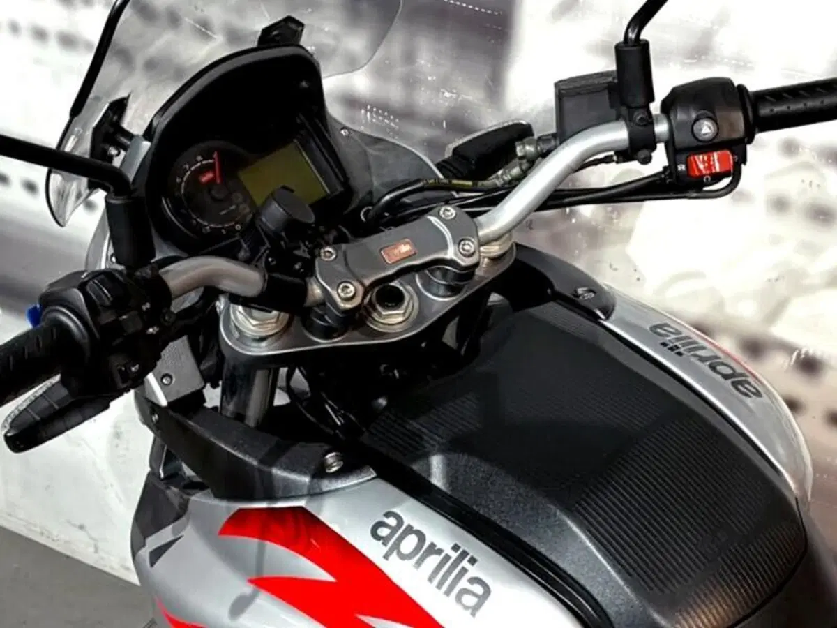 Aprilia Pegaso 650 Strada (2005 - 11) (6)
