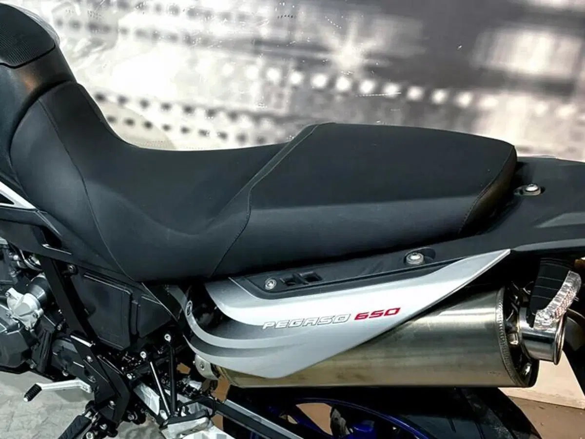 Aprilia Pegaso 650 Strada (2005 - 11) (7)
