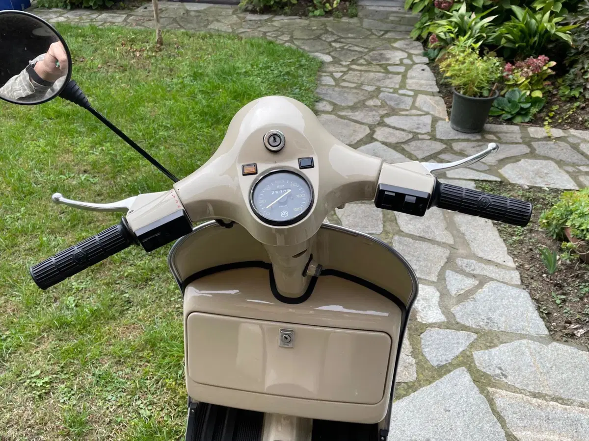 Piaggio P200E (7)