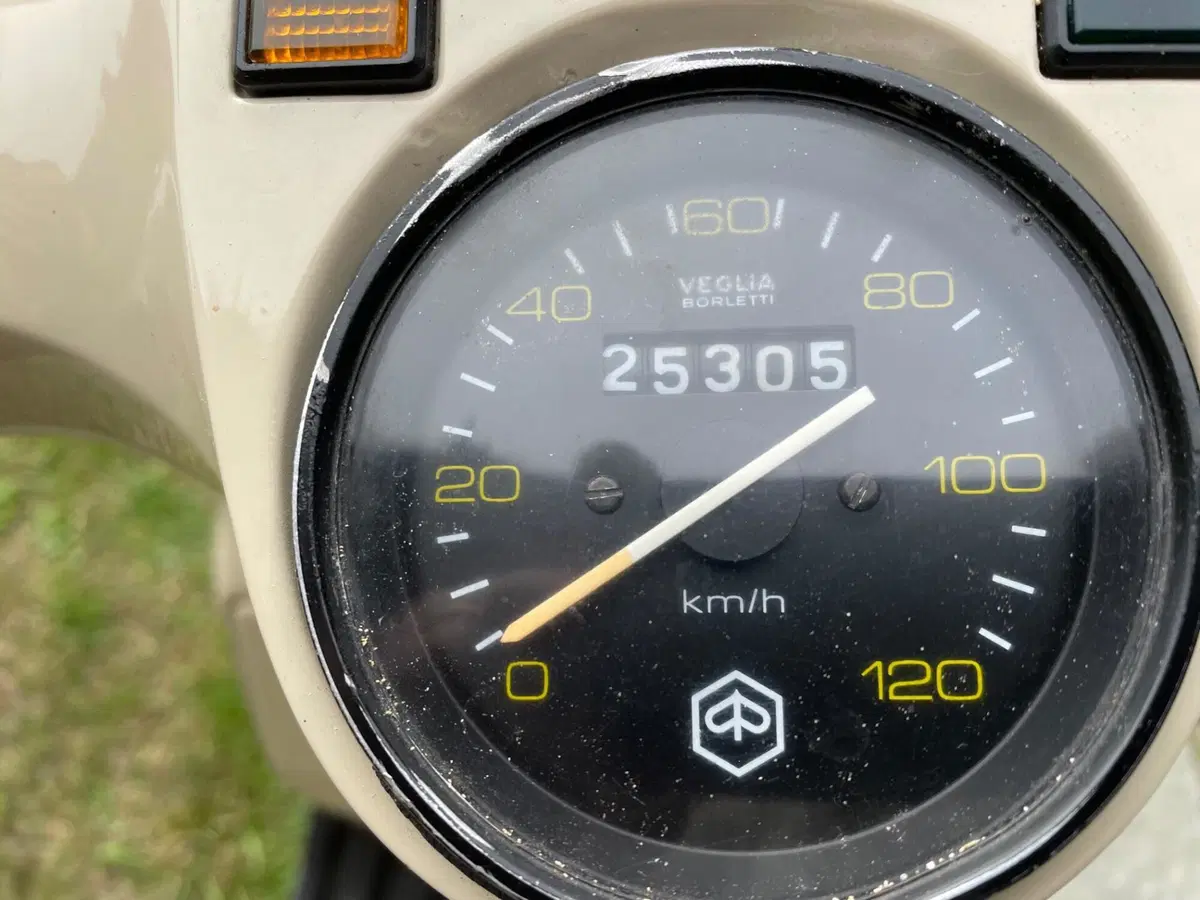 Piaggio P200E (8)