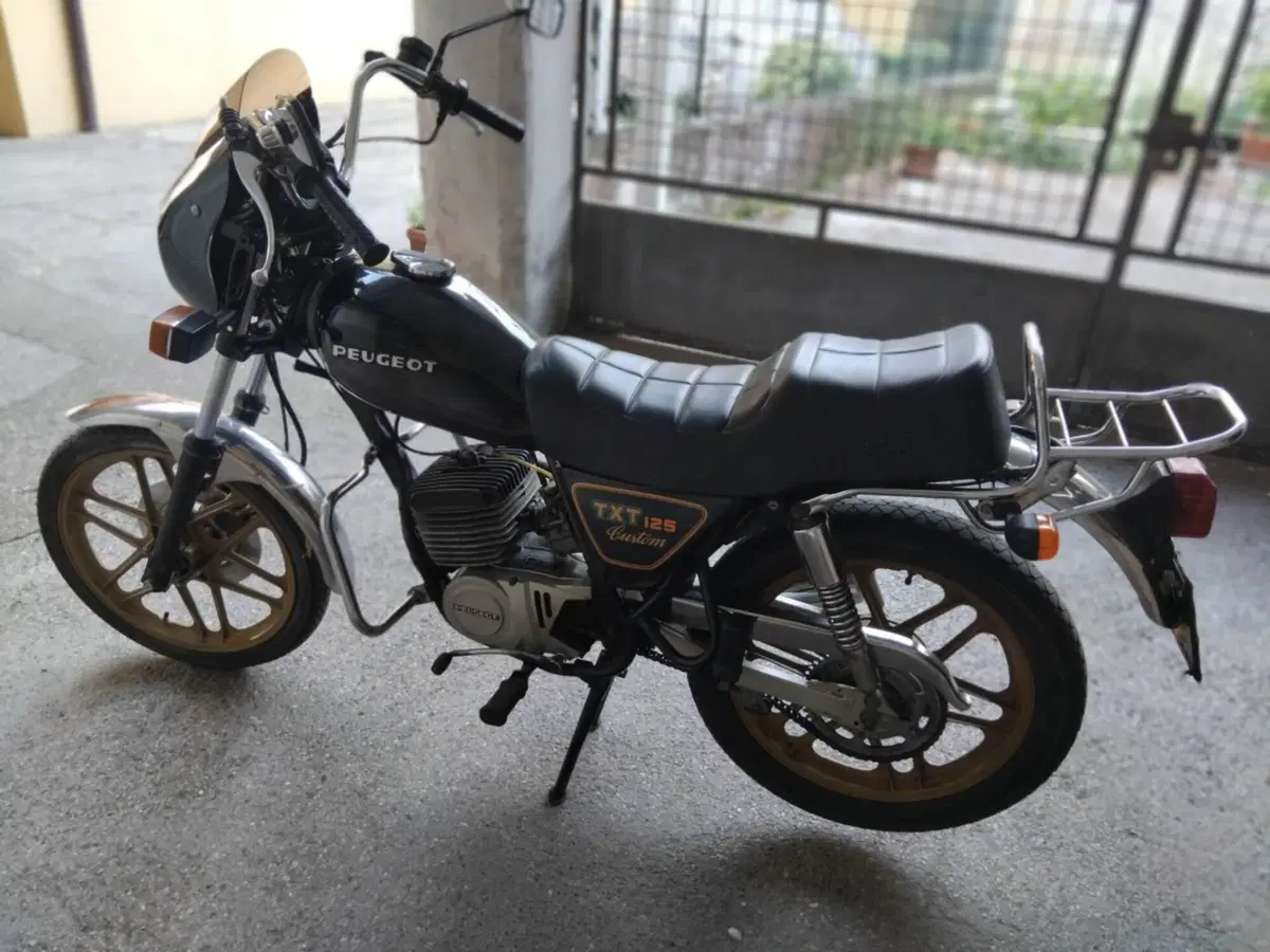 Peugeot TXT custome (4)