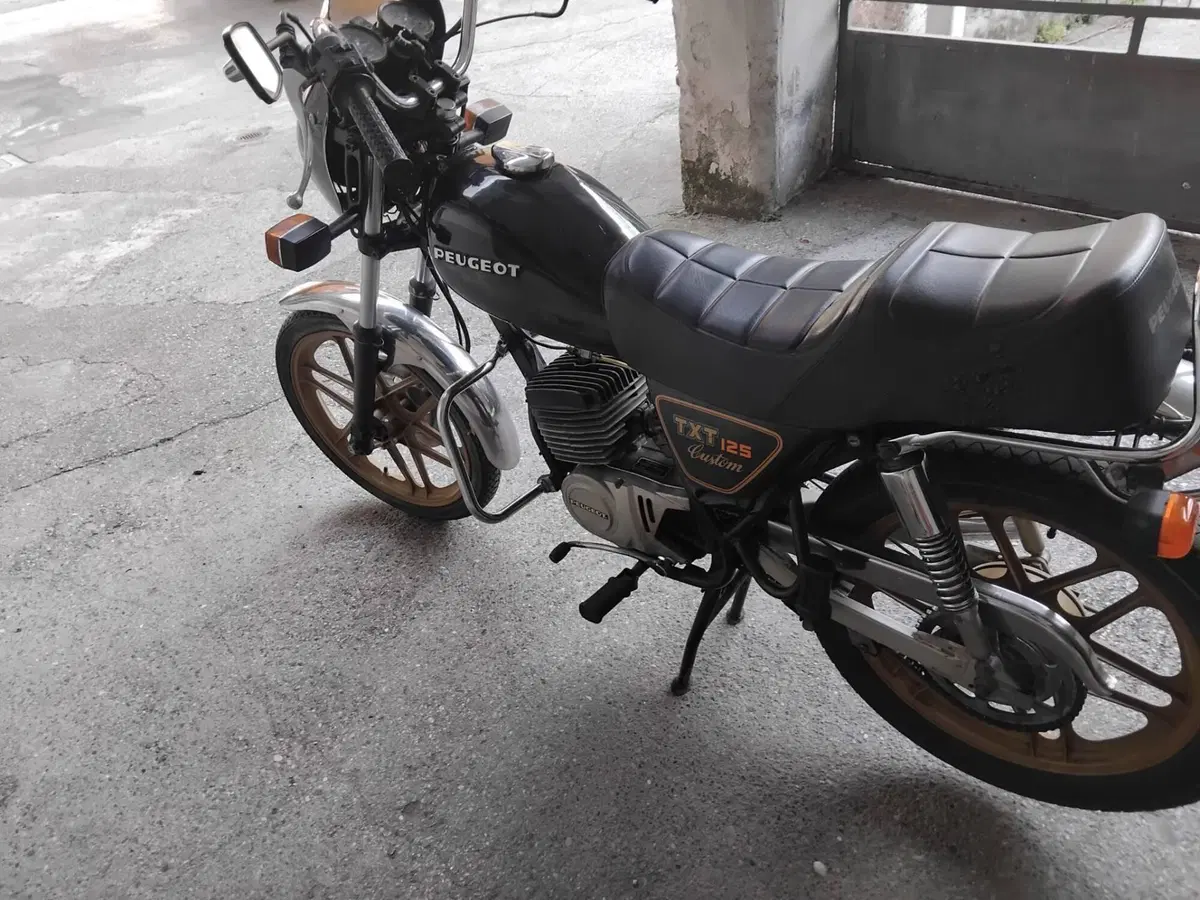 Peugeot TXT custome (7)