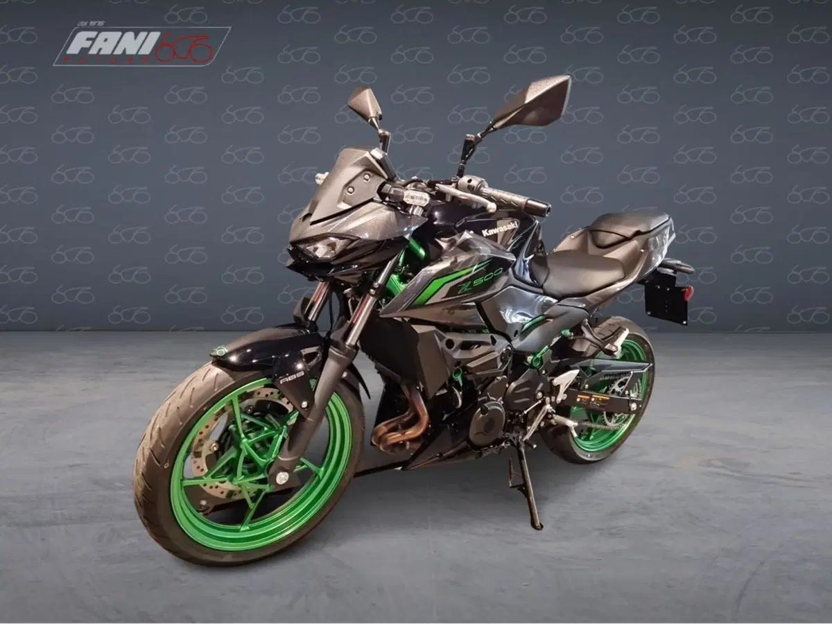 Kawasaki Z 500 SE (2024 - 27) (2)