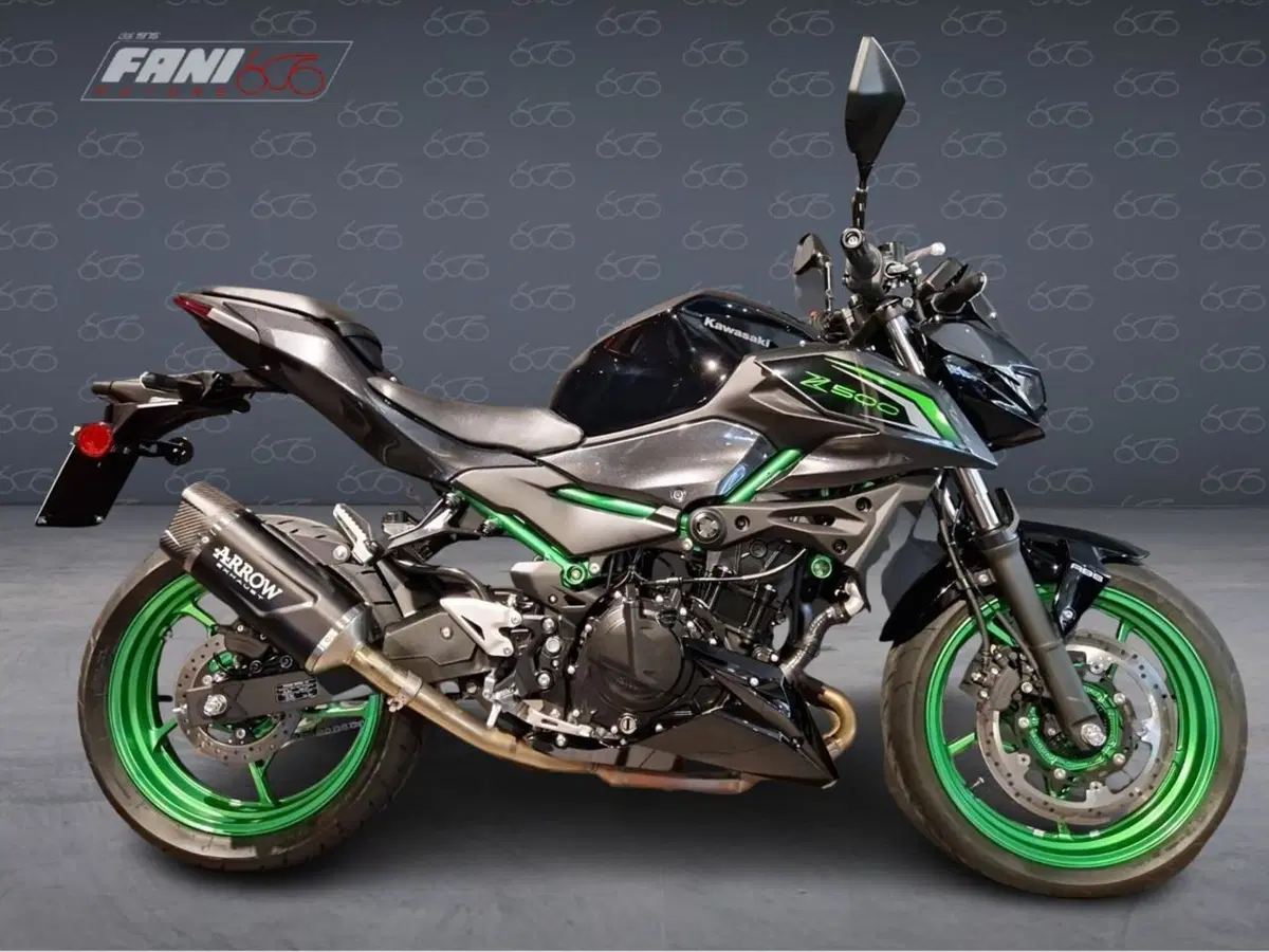 Kawasaki Z 500 SE (2024 - 27)