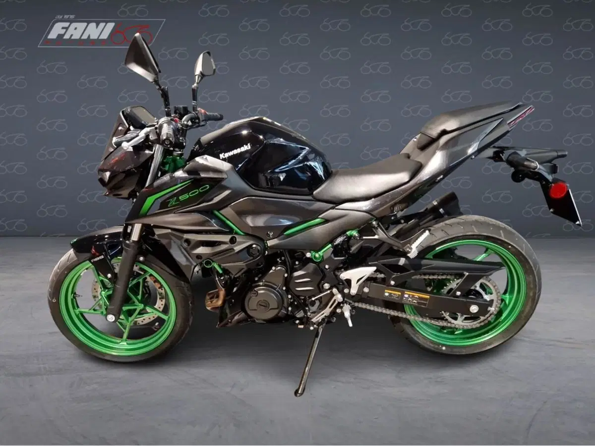 Kawasaki Z 500 SE (2024 - 27) (3)